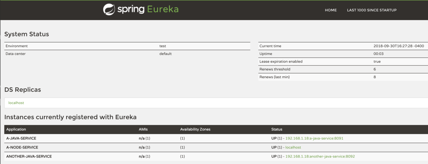 Spring Eureka Registry application