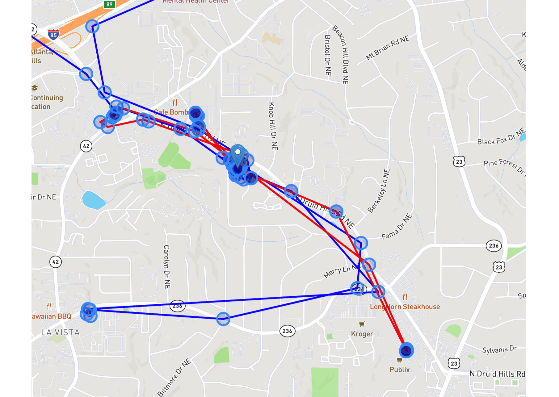 Render Multiple Colored Lines On A React Map With Polylines Paige 